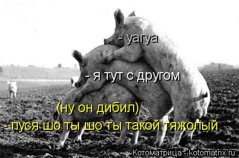 - пуся шо ты шо ты такой тяжолый - я тут с другом - уагуа (ну он дибил)... Котоматрица: - пуся шо ты шо ты такой тяжолый - я тут с другом - уагуа (ну он дибил)