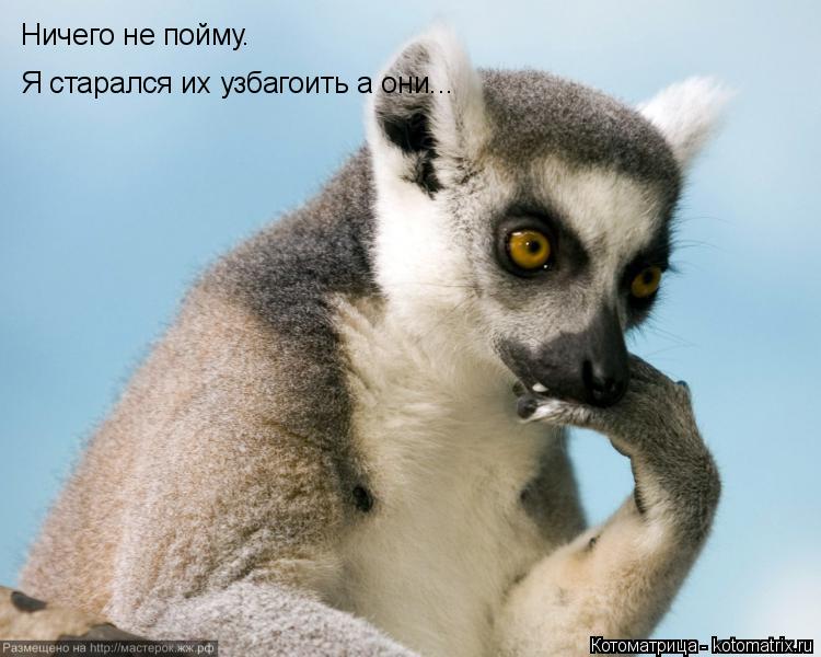 Ничего не пойму. Я старался их узбагоить а они...... Котоматрица: Ничего не пойму. Я старался их узбагоить а они...