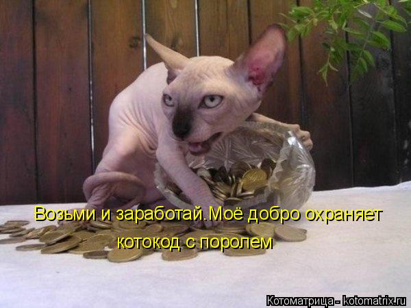 Возьми и заработай.Моё добро охраняет котокод с поролем... Котоматрица: Возьми и заработай.Моё добро охраняет котокод с поролем