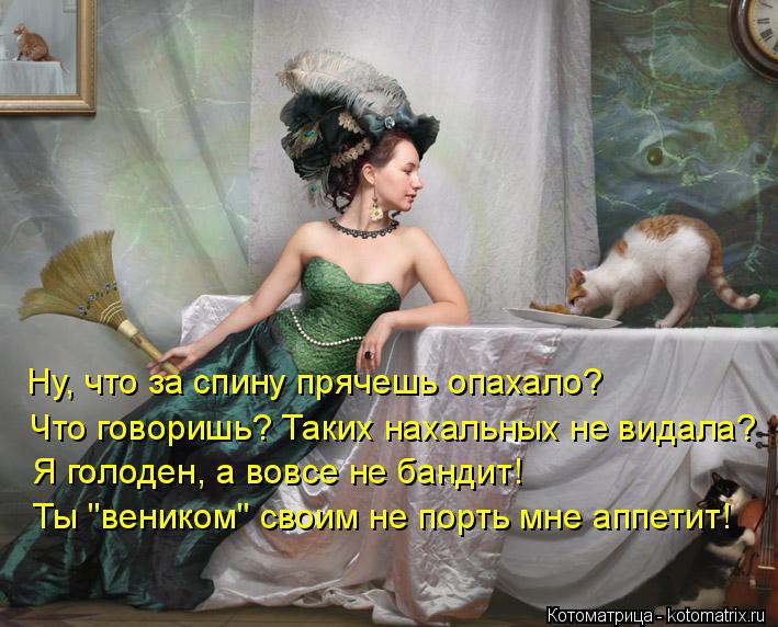 Ну, что за спину прячешь опахало? Что говоришь? Таких нахальных не видала? Я голоден, а вовсе не банд... Котоматрица: Ну, что за спину прячешь опахало? Что говоришь? Таких нахальных не видала? Я голоден, а вовсе не бандит! Ты "веником" своим не порть мне аппети