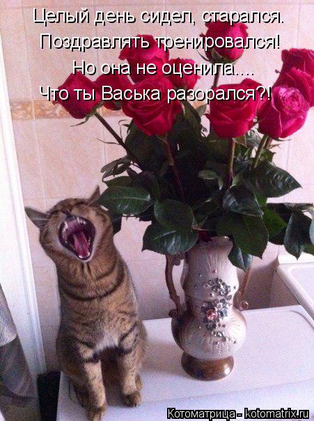 Целый день сидел, старался. Поздравлять тренировался! Но она не оценила.... Что ты Васька разорался?!... Котоматрица: Целый день сидел, старался. Поздравлять тренировался! Но она не оценила.... Что ты Васька разорался?!