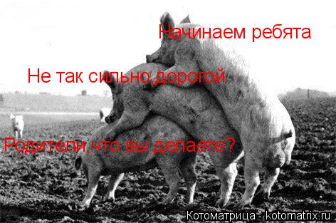 Начинаем ребята Не так сильно,дорогой Родители,что вы делаете?... Котоматрица: Начинаем ребята Не так сильно,дорогой Родители,что вы делаете?