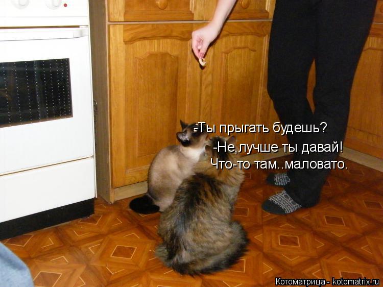 -Ты прыгать будешь? -Не,лучше ты давай! Что-то там..маловато.... Котоматрица: -Ты прыгать будешь? -Не,лучше ты давай! Что-то там..маловато.