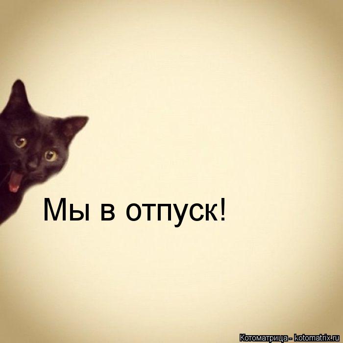 Мы в отпуск!... Котоматрица: Мы в отпуск!