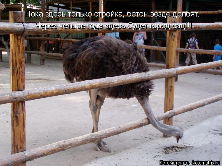 Через четыре года здесь будет город сад!!! Пока здесь только стройка, бетон везде долбят.... Котоматрица: Через четыре года здесь будет город сад!!! Пока здесь только стройка, бетон везде долбят.