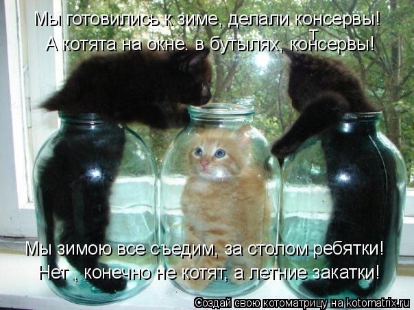 А котята на окне. в бутылях, консервы! т Мы готовились к зиме, делали консервы! Нет , конечно не котя... Котоматрица: А котята на окне. в бутылях, консервы! т Мы готовились к зиме, делали консервы! Нет , конечно не котят, а летние закатки! Мы зимою все съедим, за