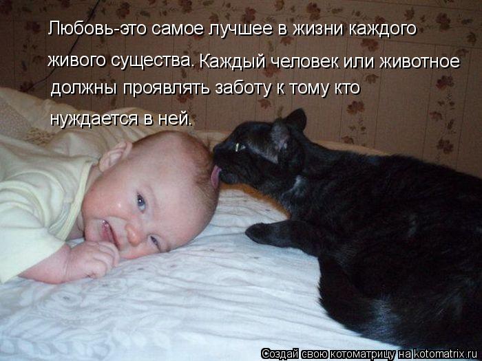 Любовь-это самое лучшее в жизни каждого живого существа. Каждый человек или животное должны проявлять... Котоматрица: Любовь-это самое лучшее в жизни каждого живого существа. Каждый человек или животное должны проявлять заботу к тому кто нуждается в ней.
