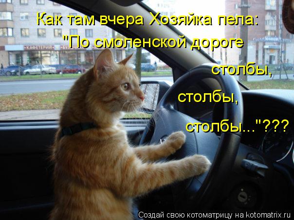 Как там вчера Хозяйка пела: "По смоленской дороге столбы, столбы, столбы..."???... Котоматрица: Как там вчера Хозяйка пела: "По смоленской дороге столбы, столбы, столбы..."???