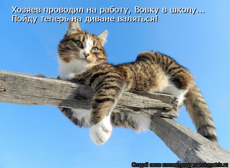 Хозяев проводил на работу, Вовку в школу... Пойду теперь на диване валяться!... Котоматрица: Хозяев проводил на работу, Вовку в школу... Пойду теперь на диване валяться!