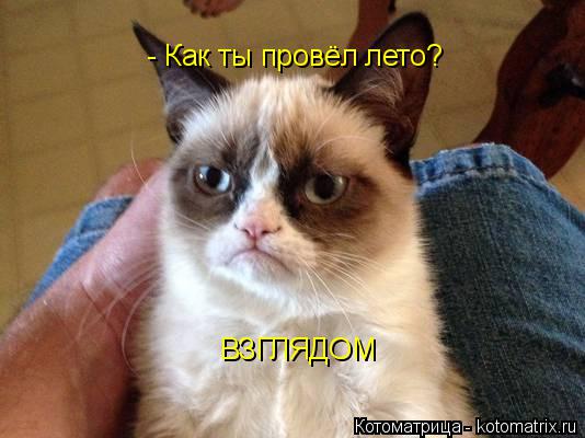 ВЗГЛЯДОМ - Как ты провёл лето?... Котоматрица: ВЗГЛЯДОМ - Как ты провёл лето?