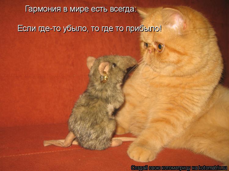 Гармония в мире есть всегда: Если где-то убыло, то где то прибыло!... Котоматрица: Гармония в мире есть всегда: Если где-то убыло, то где то прибыло!