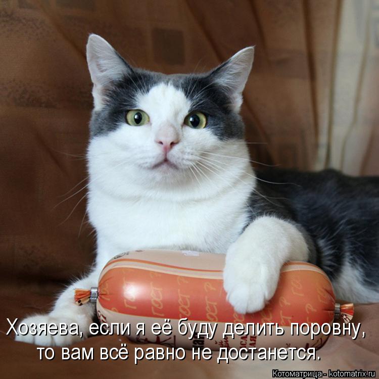 Хозяева, если я её буду делить поровну, то вам всё равно не достанется.... Котоматрица: Хозяева, если я её буду делить поровну, то вам всё равно не достанется.
