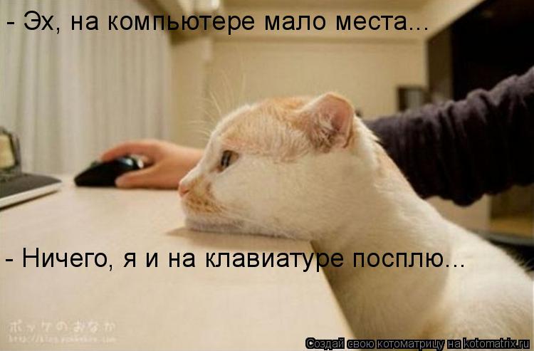 - Эх, на компьютере мало места... - Ничего, я и на клавиатуре посплю...... Котоматрица: - Эх, на компьютере мало места... - Ничего, я и на клавиатуре посплю...