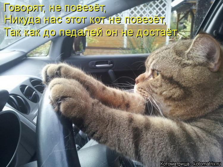 Говорят, не повезёт, Никуда нас этот кот не повезёт, Так как до педалей он не достаёт.... Котоматрица: Говорят, не повезёт, Никуда нас этот кот не повезёт, Так как до педалей он не достаёт.