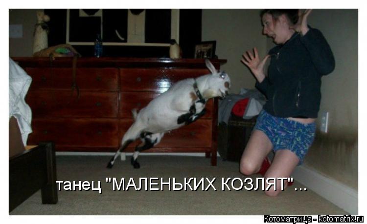 танец "МАЛЕНЬКИХ КОЗЛЯТ"...... Котоматрица: танец "МАЛЕНЬКИХ КОЗЛЯТ"...