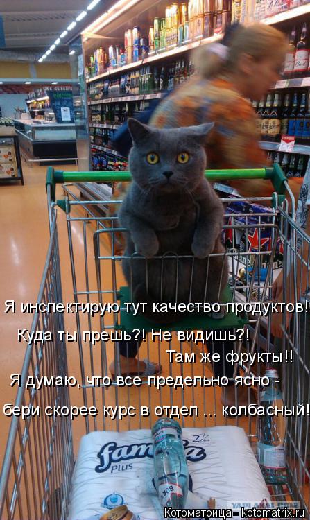 Я инспектирую тут качество продуктов! Куда ты прешь?! Не видишь?! Там же фрукты!! Я думаю, что все пр... Котоматрица: Я инспектирую тут качество продуктов! Куда ты прешь?! Не видишь?! Там же фрукты!! Я думаю, что все предельно ясно - бери скорее курс в отдел ... к