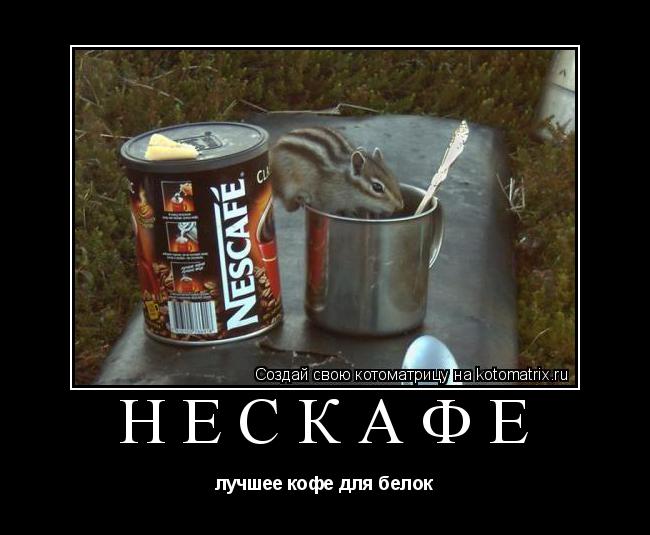 НЕСКАФЕ лучшее кофе для белок... Котоматрица: НЕСКАФЕ лучшее кофе для белок