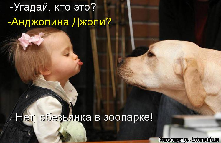 : -,  ? - ? -,   !