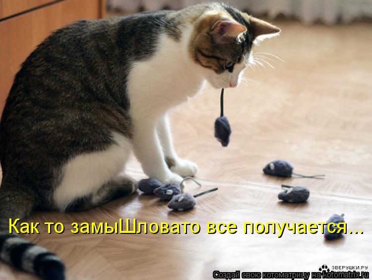 Как то замыШловато все получается...... Котоматрица: Как то замыШловато все получается...