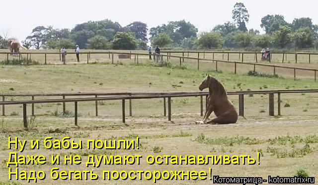 Ну и бабы пошли! Даже и не думают останавливать! Надо бегать поосторожнее!... Котоматрица: Ну и бабы пошли! Даже и не думают останавливать! Надо бегать поосторожнее!