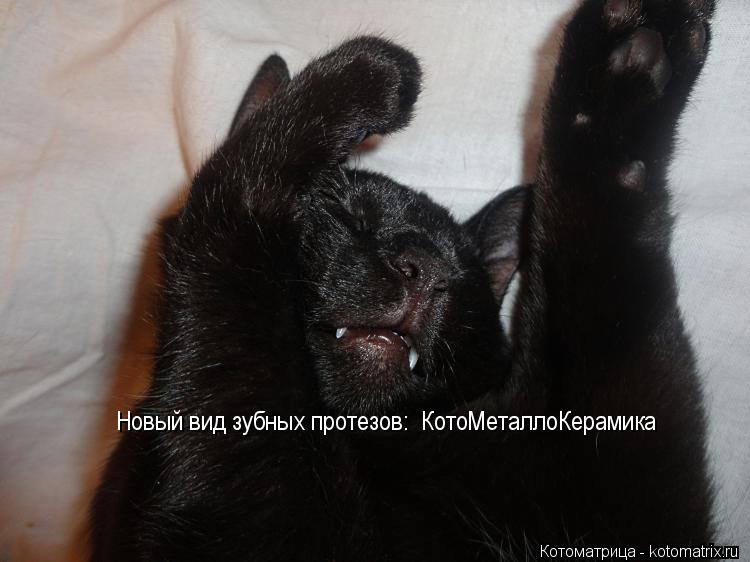 Новый вид зубных протезов: КотоМеталлоКерамика... Котоматрица: Новый вид зубных протезов: КотоМеталлоКерамика