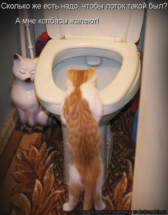 :    !    ,    ?