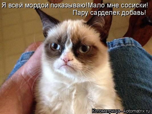 Я всей мордой показываю!Мало мне сосиски! Пару сарделек добавь!... Котоматрица: Я всей мордой показываю!Мало мне сосиски! Пару сарделек добавь!