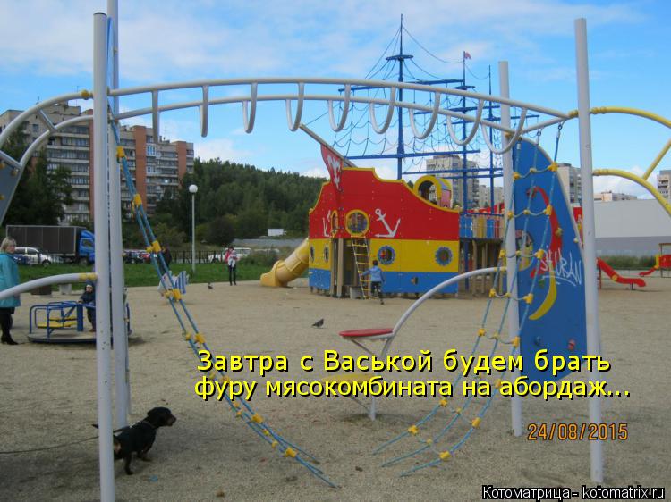 Завтра с Васькой будем брать фуру мясокомбината на абордаж...... Котоматрица: Завтра с Васькой будем брать фуру мясокомбината на абордаж...