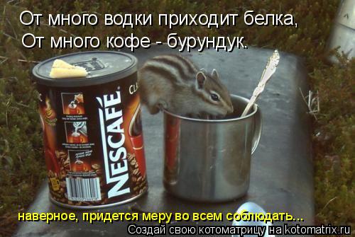 От много водки приходит белка, От много кофе - бурундук. наверное, придется меру во всем соблюдать...... Котоматрица: От много водки приходит белка, От много кофе - бурундук. наверное, придется меру во всем соблюдать...