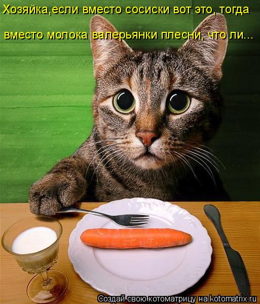 :    ,  ... ,    , 