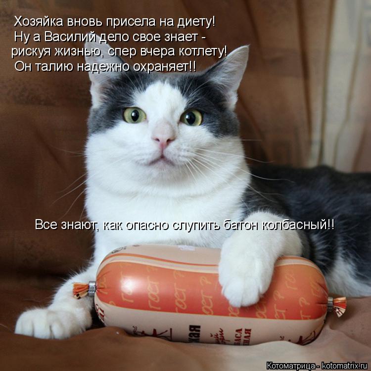 Хозяйка вновь присела на диету! Ну а Василий дело свое знает - рискуя жизнью, спер вчера котлету! Он ... Котоматрица: Хозяйка вновь присела на диету! Ну а Василий дело свое знает - рискуя жизнью, спер вчера котлету! Он талию надежно охраняет!! Все знают, как оп