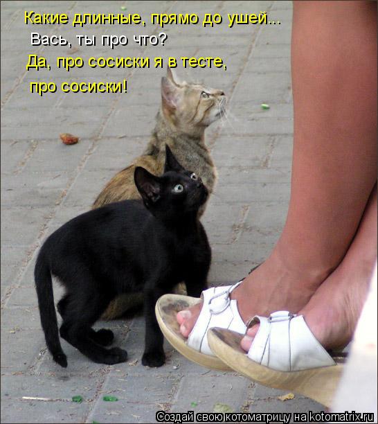 Какие длинные, прямо до ушей... Вась, ты про что? Да, про сосиски я в тесте, про сосиски!... Котоматрица: Какие длинные, прямо до ушей... Вась, ты про что? Да, про сосиски я в тесте, про сосиски!
