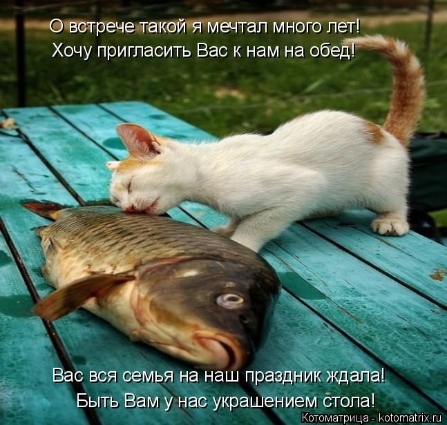 Быть Вам у нас украшением стола! О встрече такой я мечтал много лет! Хочу пригласить Вас к нам на обе... Котоматрица: Быть Вам у нас украшением стола! О встрече такой я мечтал много лет! Хочу пригласить Вас к нам на обед! Вас вся семья на наш праздник ждала!