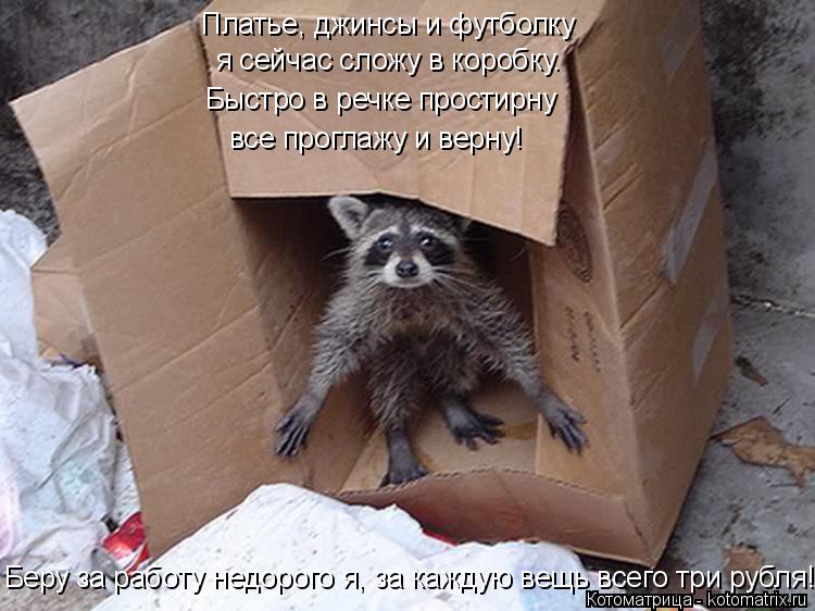Платье, джинсы и футболку я сейчас сложу в коробку. Быстро в речке простирну все проглажу и верну! Бе... Котоматрица: Платье, джинсы и футболку я сейчас сложу в коробку. Быстро в речке простирну все проглажу и верну! Беру за работу недорого я, за каждую вещь в