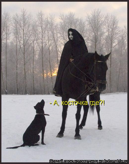 - А, косточка где?!... Котоматрица: - А, косточка где?!