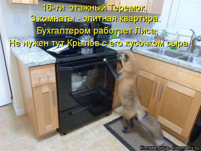 16-ти этажный Теремок, 3 комнаты - элитная квартира. Бухгалтером работает Лиса, Не нужен тут Крылов... Котоматрица: 16-ти этажный Теремок, 3 комнаты - элитная квартира. Бухгалтером работает Лиса, Не нужен тут Крылов с его кусочком сыра !
