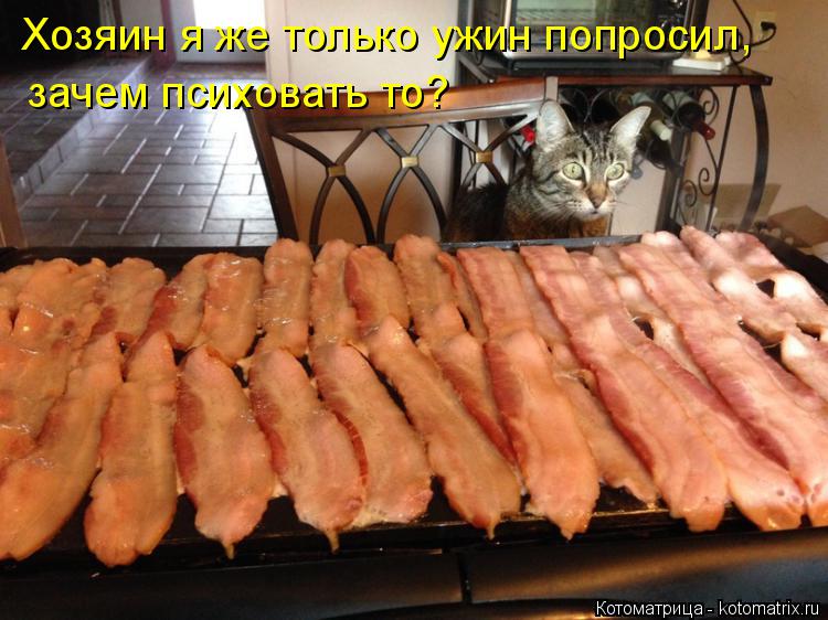Хозяин я же только ужин попросил, зачем психовать то?... Котоматрица: Хозяин я же только ужин попросил, зачем психовать то?