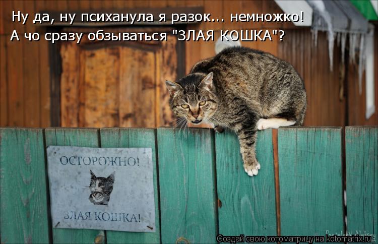 Ну да, ну психанула я разок... немножко! А чо сразу обзываться "ЗЛАЯ КОШКА"?... Котоматрица: Ну да, ну психанула я разок... немножко! А чо сразу обзываться "ЗЛАЯ КОШКА"?