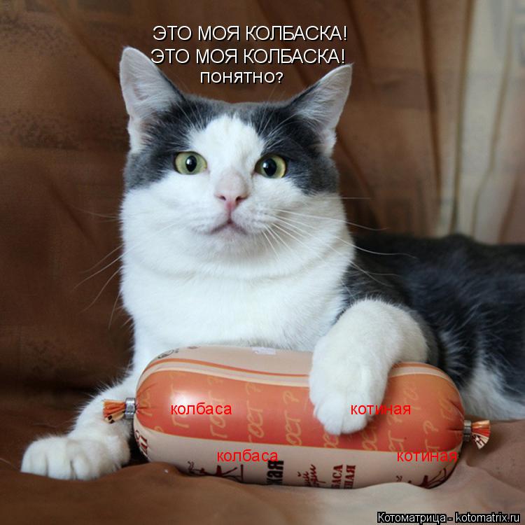 колбаса котиная колбаса котиная ЭТО МОЯ КОЛБАСКА! ЭТО... Котоматрица: колбаса котиная колбаса котиная ЭТО МОЯ КОЛБАСКА! ЭТО МОЯ КОЛБАСКА! ПОНЯТНО?