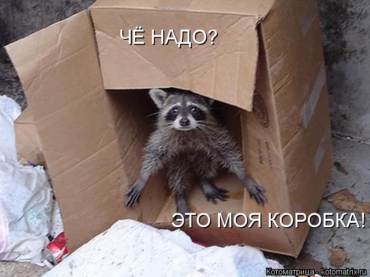 ЧЁ НАДО? ЭТО МОЯ КОРОБКА!... Котоматрица: ЧЁ НАДО? ЭТО МОЯ КОРОБКА!