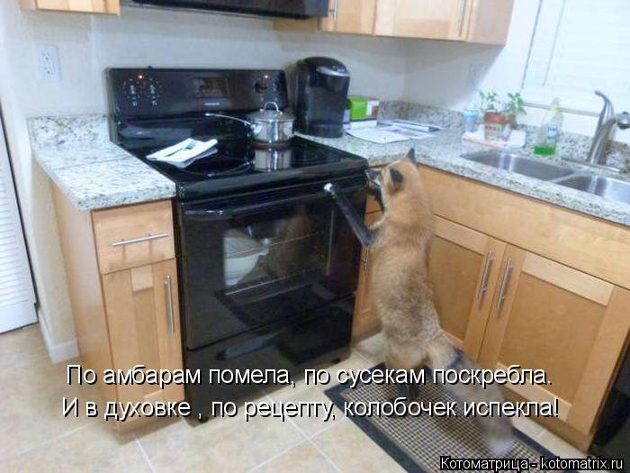 По амбарам помела, по сусекам поскребла. И в духовке , по рецепту, колобочек испекла!... Котоматрица: По амбарам помела, по сусекам поскребла. И в духовке , по рецепту, колобочек испекла!