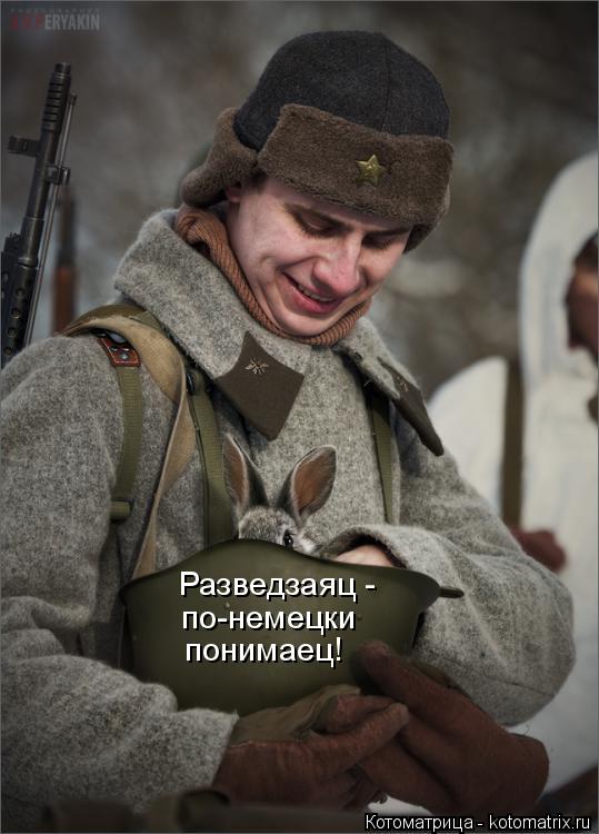 Разведзаяц - по-немецки понимаец!... Котоматрица: Разведзаяц - по-немецки понимаец!