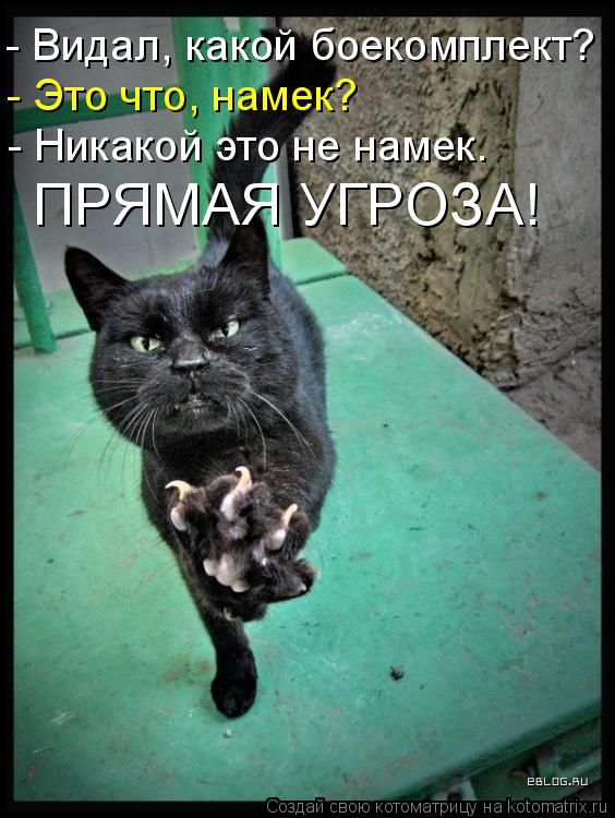 - Видал, какой боекомплект? - Это что, намек? - Никакой это не намек. ПРЯМАЯ УГРОЗА!... Котоматрица: - Видал, какой боекомплект? - Это что, намек? - Никакой это не намек. ПРЯМАЯ УГРОЗА!