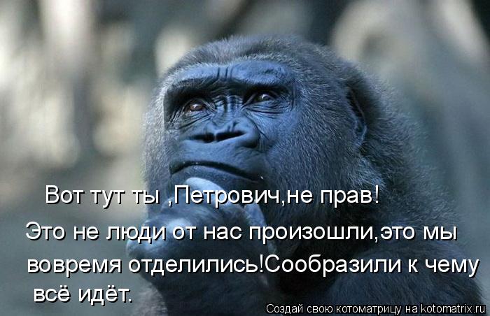 Вот тут ты ,Петрович,не прав! Это не люди от нас произошли,это мы вовремя отделились!Сообразили к че... Котоматрица: Вот тут ты ,Петрович,не прав! Это не люди от нас произошли,это мы вовремя отделились!Сообразили к чему всё идёт.