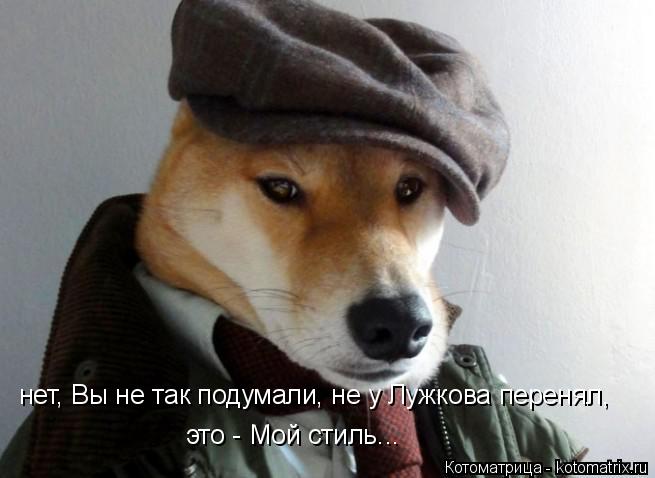 нет, Вы не так подумали, не у Лужкова перенял, это - Мой стиль...... Котоматрица: нет, Вы не так подумали, не у Лужкова перенял, это - Мой стиль...
