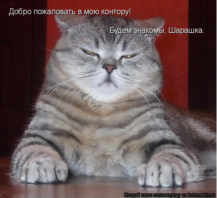 Добро пожаловать в мою контору! Будем знакомы, Шарашка.... Котоматрица: Добро пожаловать в мою контору! Будем знакомы, Шарашка.