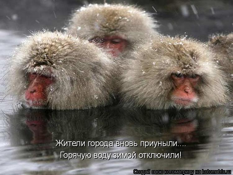 Горячую воду зимой отключили! Жители города вновь приуныли....... Котоматрица: Горячую воду зимой отключили! Жители города вновь приуныли....