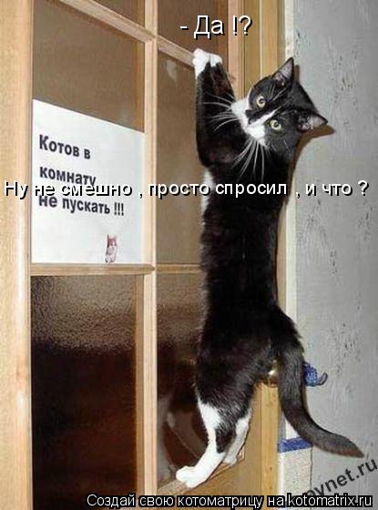 - Да !? Ну не смешно , просто спросил , и что ?... Котоматрица: - Да !? Ну не смешно , просто спросил , и что ?
