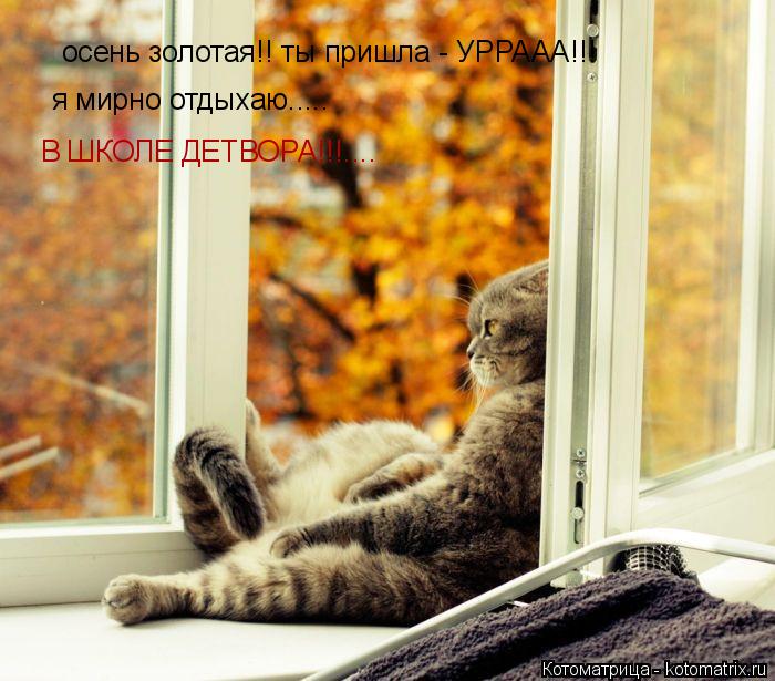 осень золотая!! ты пришла - УРРААА!!! я мирно отдыхаю..... В ШКОЛЕ ДЕТВОРА!!!....... Котоматрица: осень золотая!! ты пришла - УРРААА!!! я мирно отдыхаю..... В ШКОЛЕ ДЕТВОРА!!!....