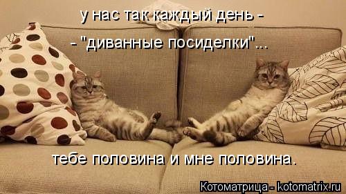 у нас так каждый день - - "диванные посиделки"... тебе половина и мне половина.... Котоматрица: у нас так каждый день - - "диванные посиделки"... тебе половина и мне половина.